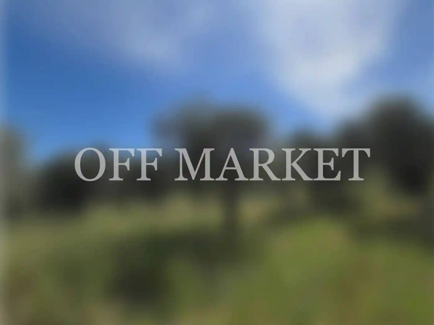 Villa in vendita a Alghero