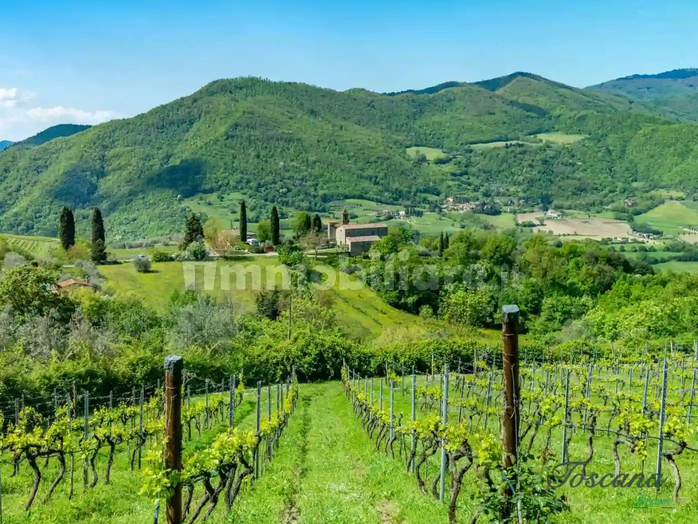 Rustico - Casale - foto 3