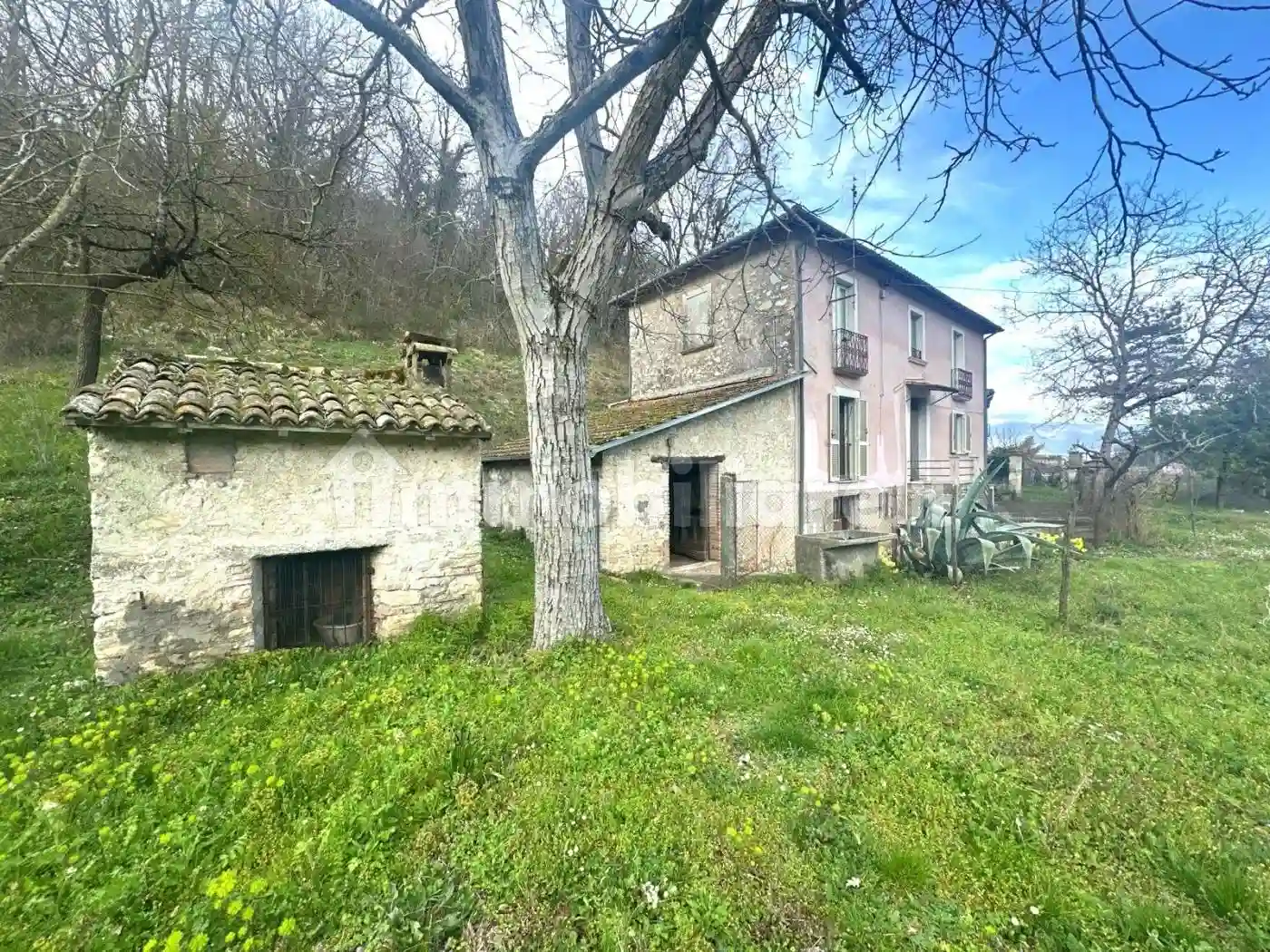 Rustico - Casale - foto 2