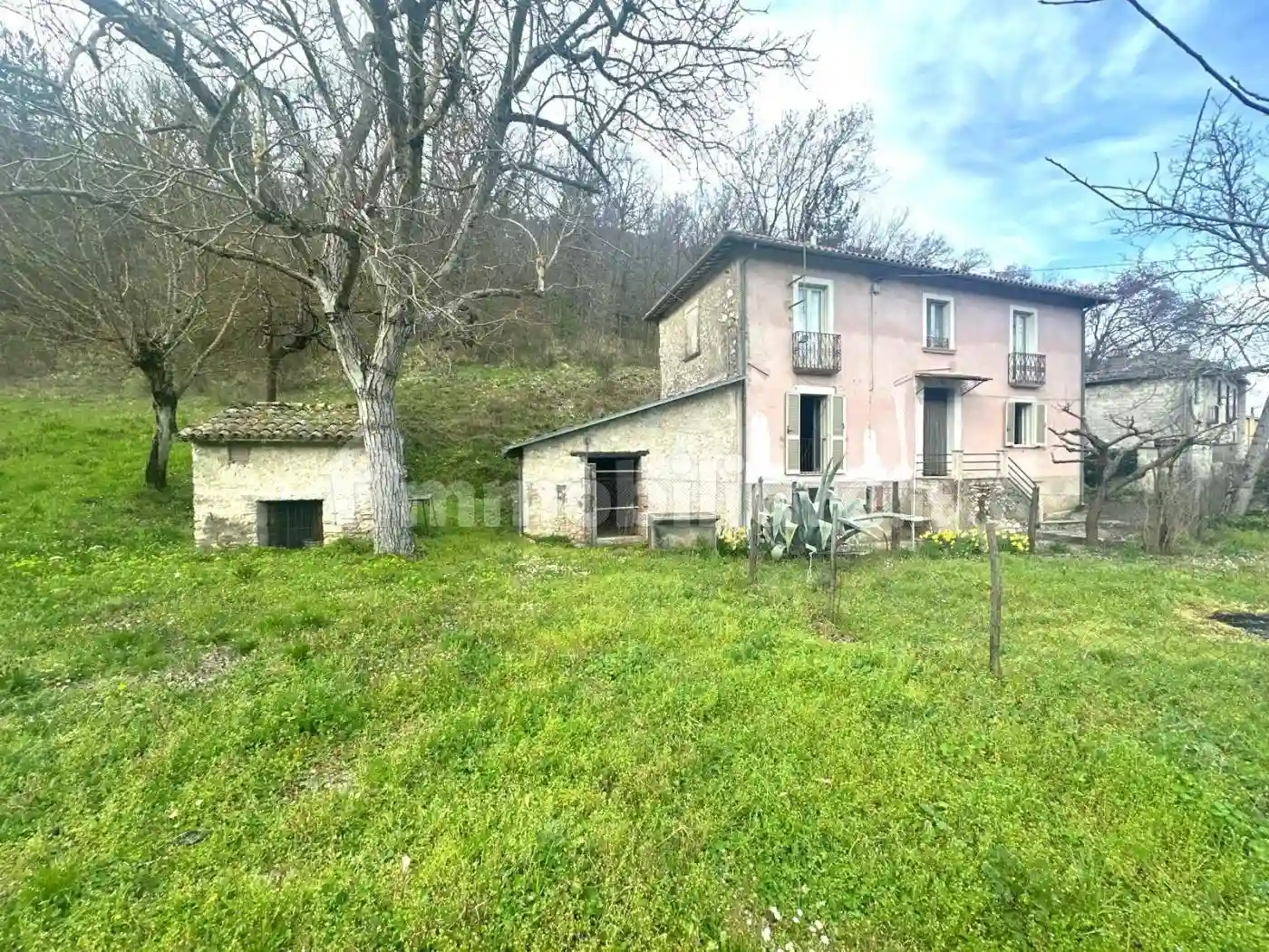 Rustico - Casale - foto 3