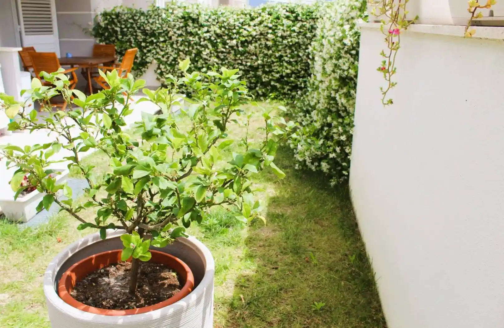 Trilocale via Aldo Moro, Tortoreto Lido, Tortoreto - foto 3