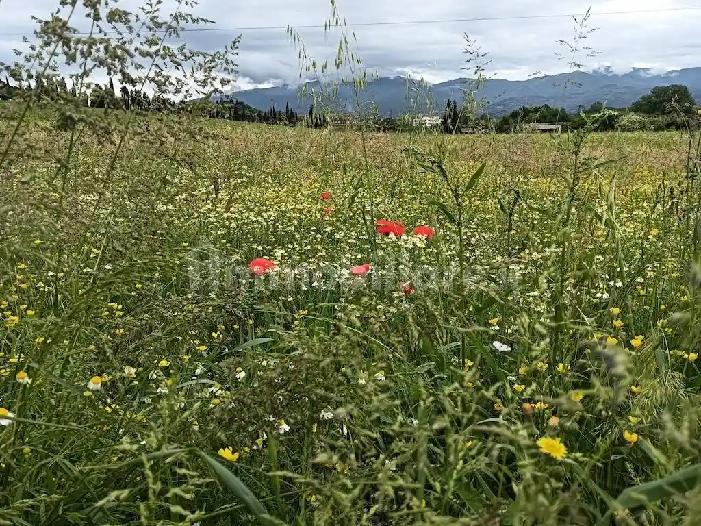 Villa in vendita a Reggello