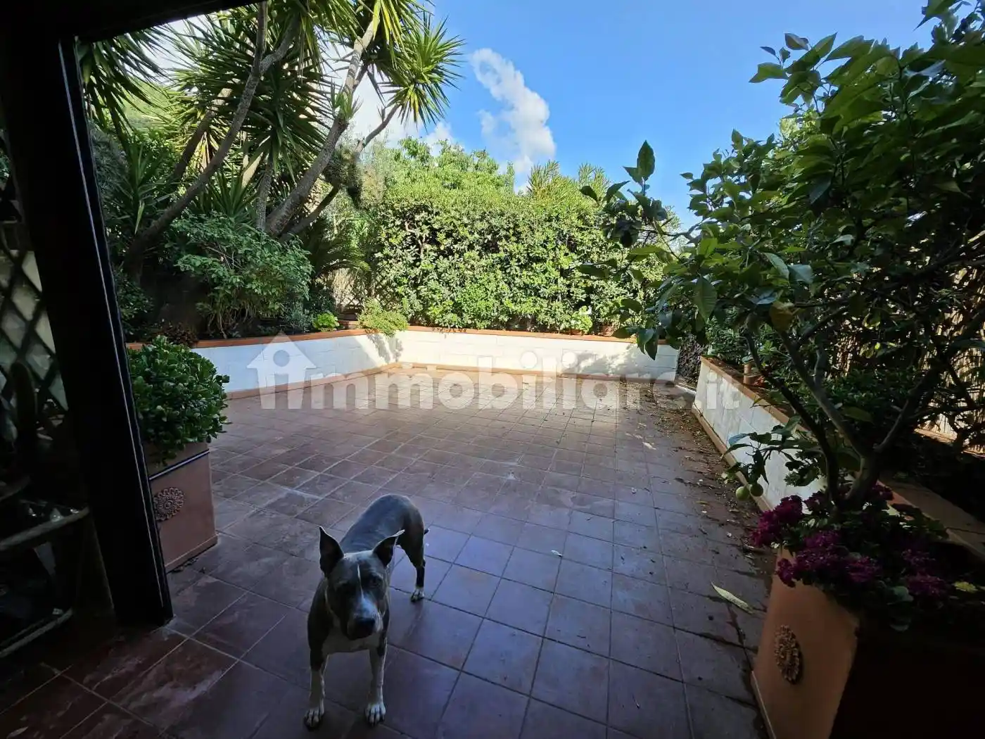 Appartamento in vendita a Rapallo