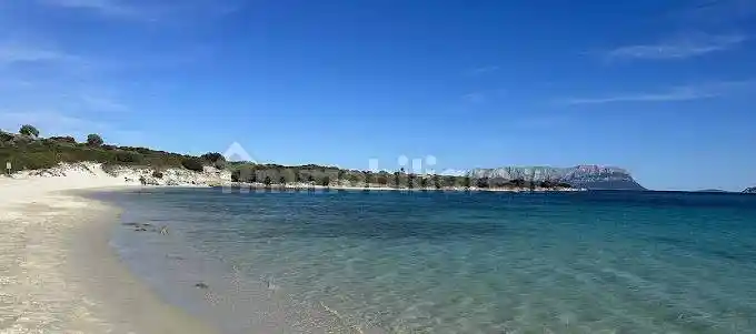 Appartamento in vendita a Golfo Aranci