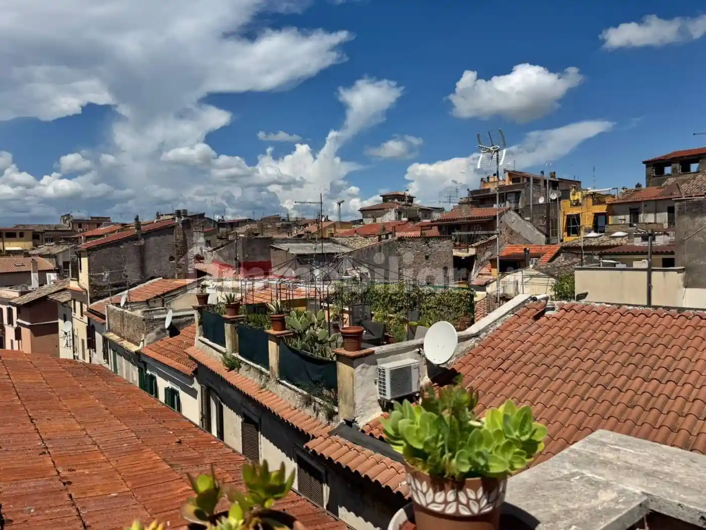 Appartamento in affitto a Monterotondo