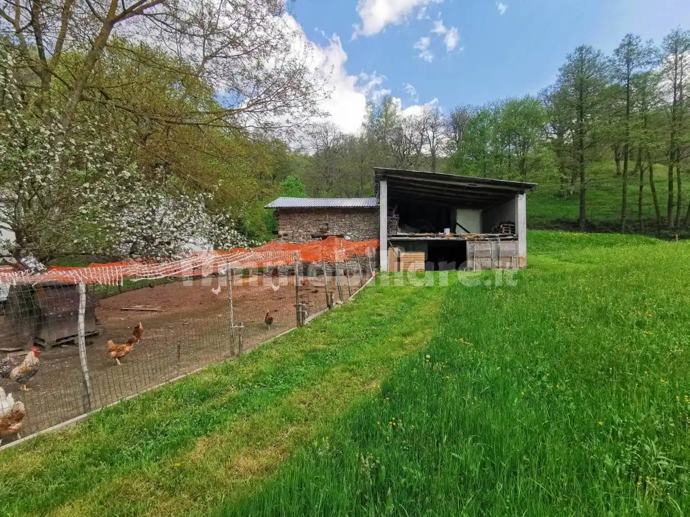 Rustico - Casale - foto 4