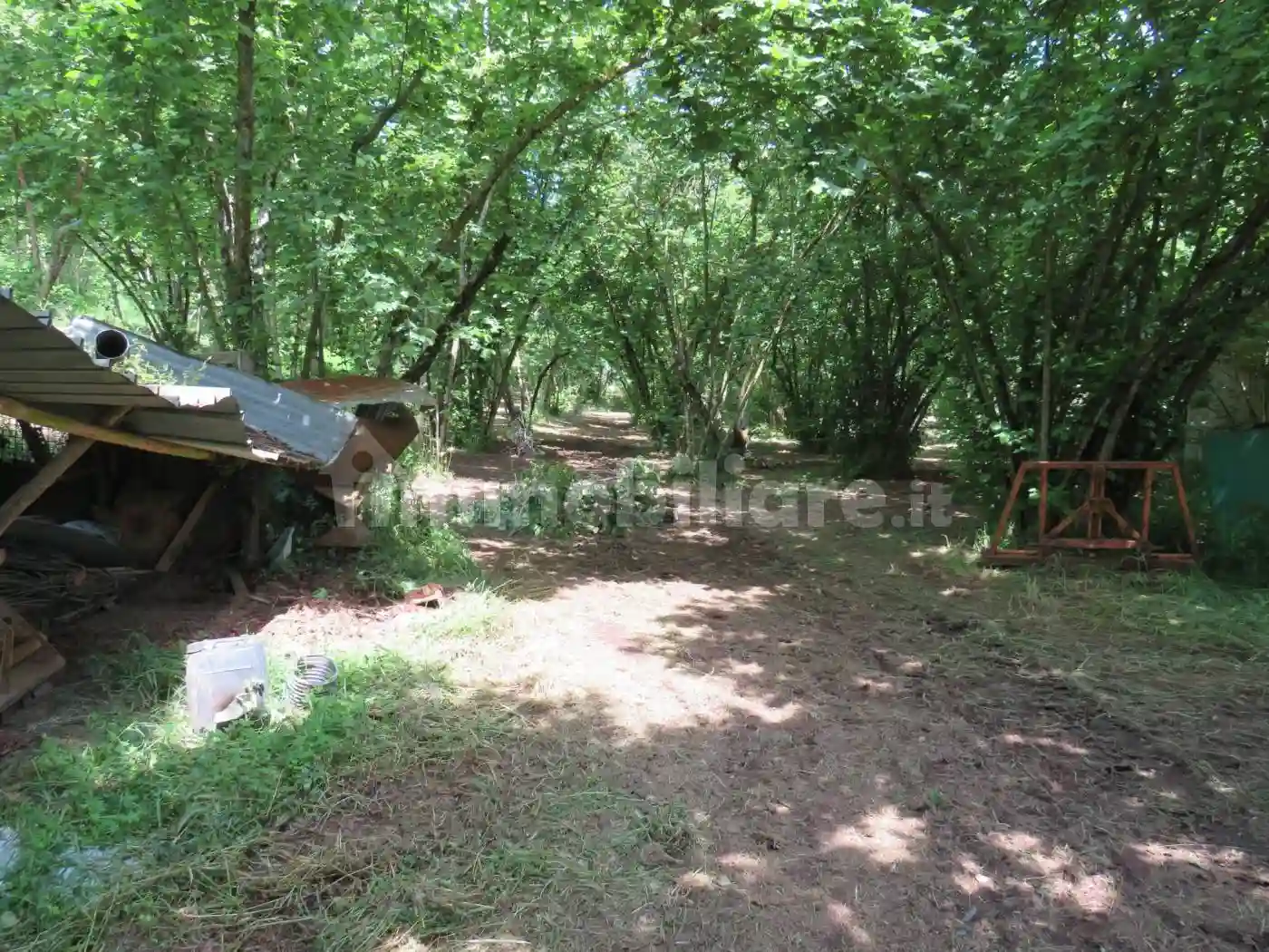 Rustico - Casale - foto 3