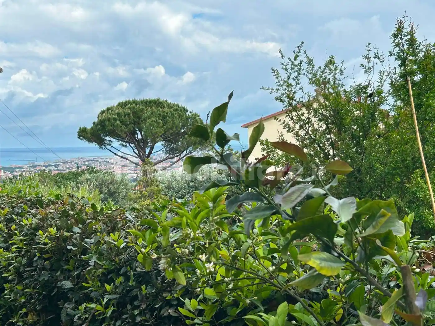 Appartamento in vendita a Livorno