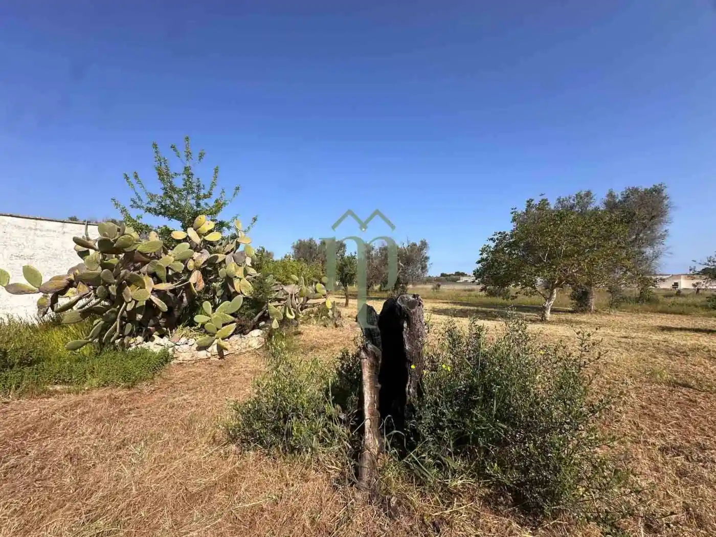 Rustico, da ristrutturare, 35 m², Montenegro, Brindisi - foto 3