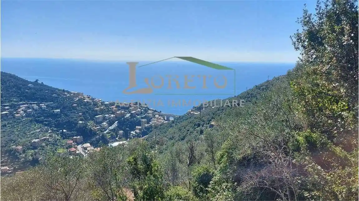 Rustico - Casale in vendita a Zoagli