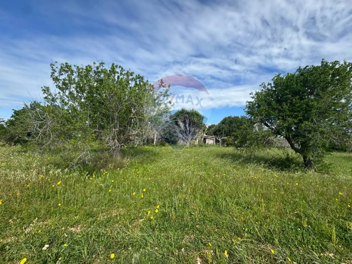 Rustico - Casale in vendita a Noto