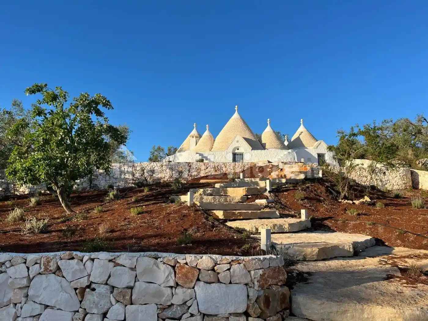 Trullo Contrada Tamburroni, Tamburroni, Grottone, Rosara, Ostuni - foto 2