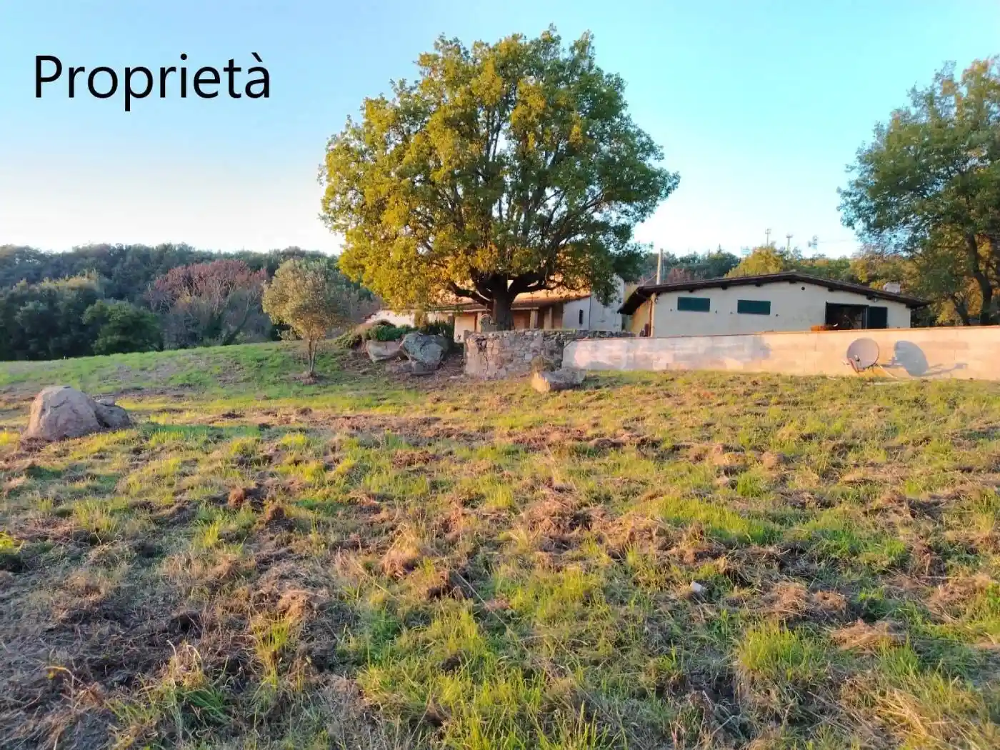 Rustico - Casale in vendita a Roccastrada