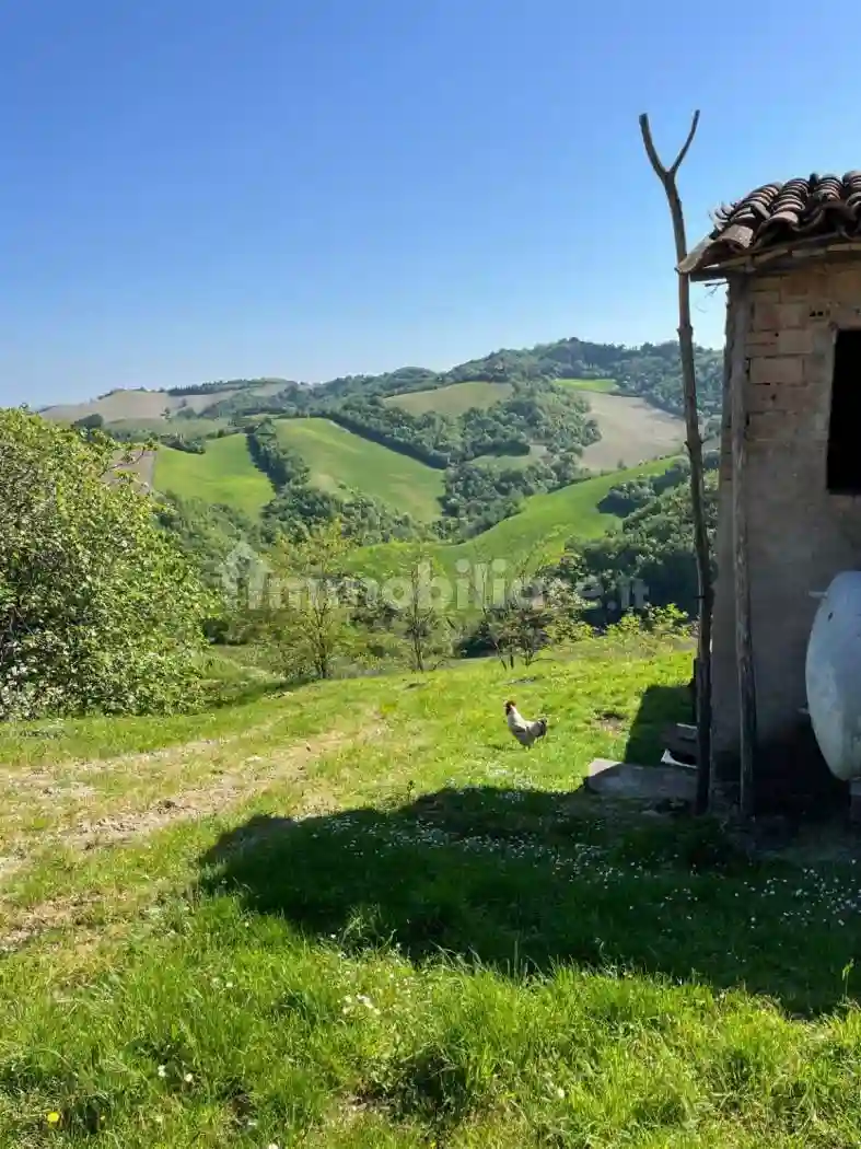 Palazzo - Edificio - foto 5
