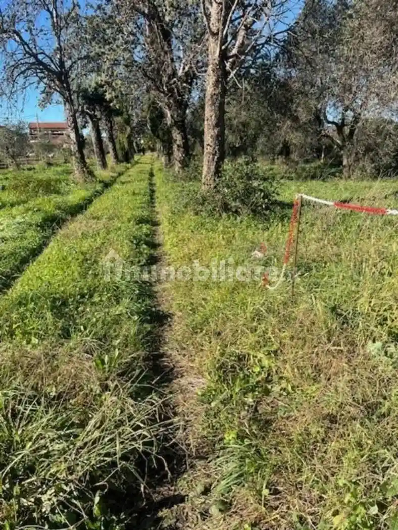 Rustico - Casale in vendita a Sarzana