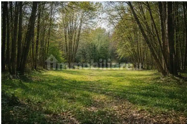 Palazzo - Edificio in vendita a Trento