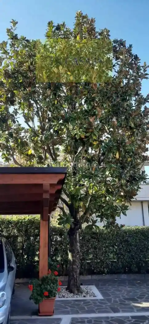 Villa unifamiliare via Vestina, Villa Carmine, Montesilvano - foto 5