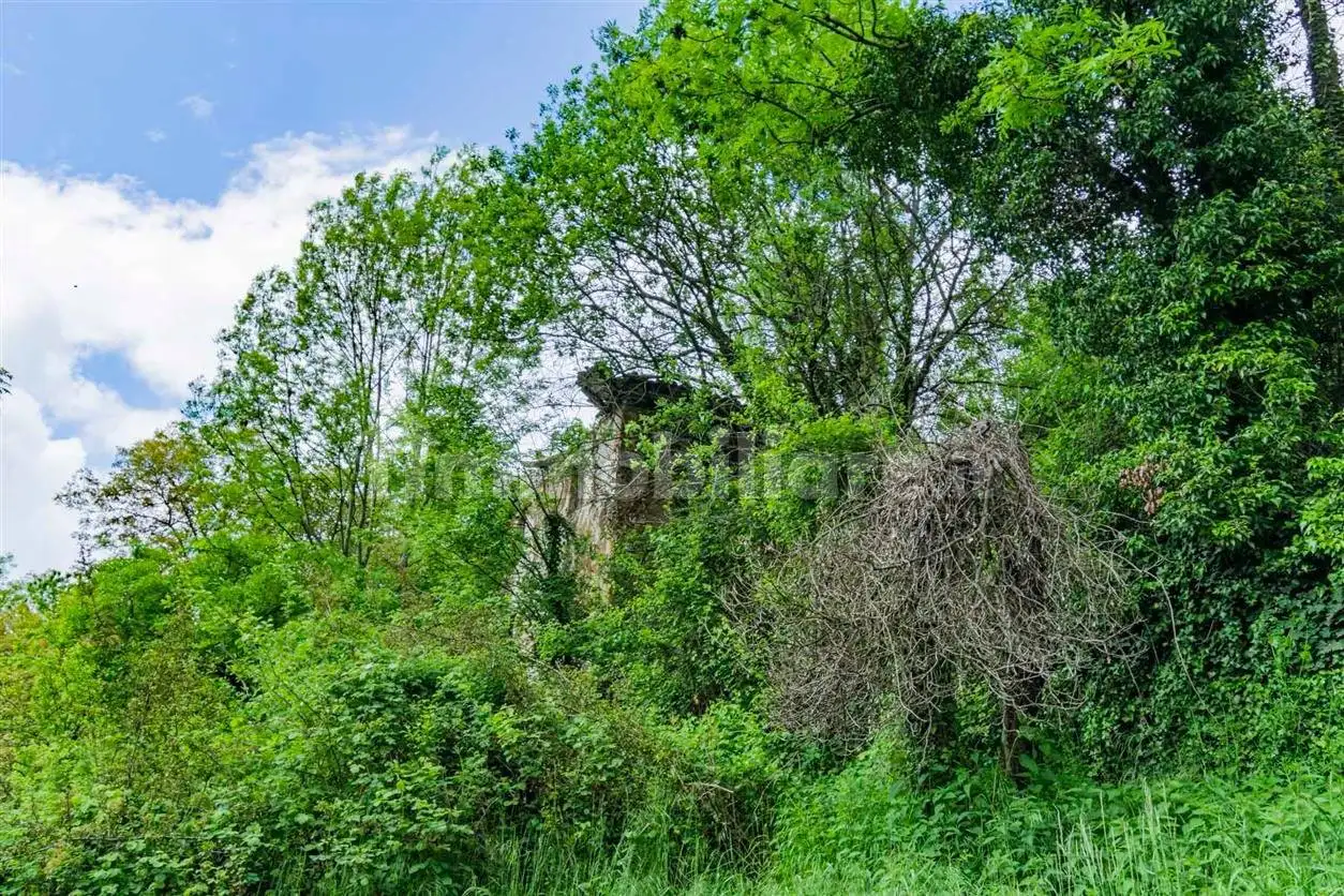 Rustico - Casale in vendita a Algua