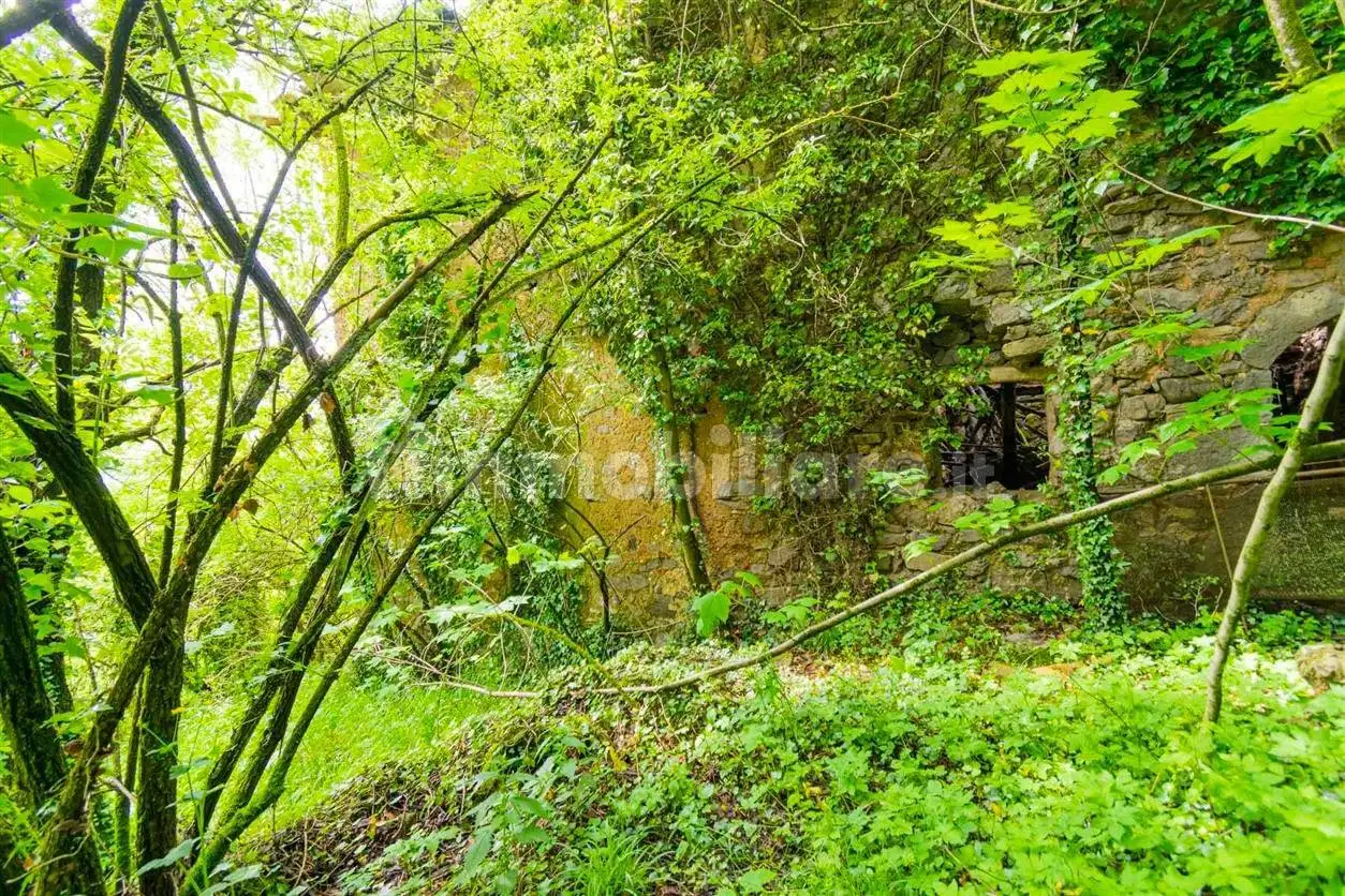 Casa colonica 210 m², Algua - foto 4