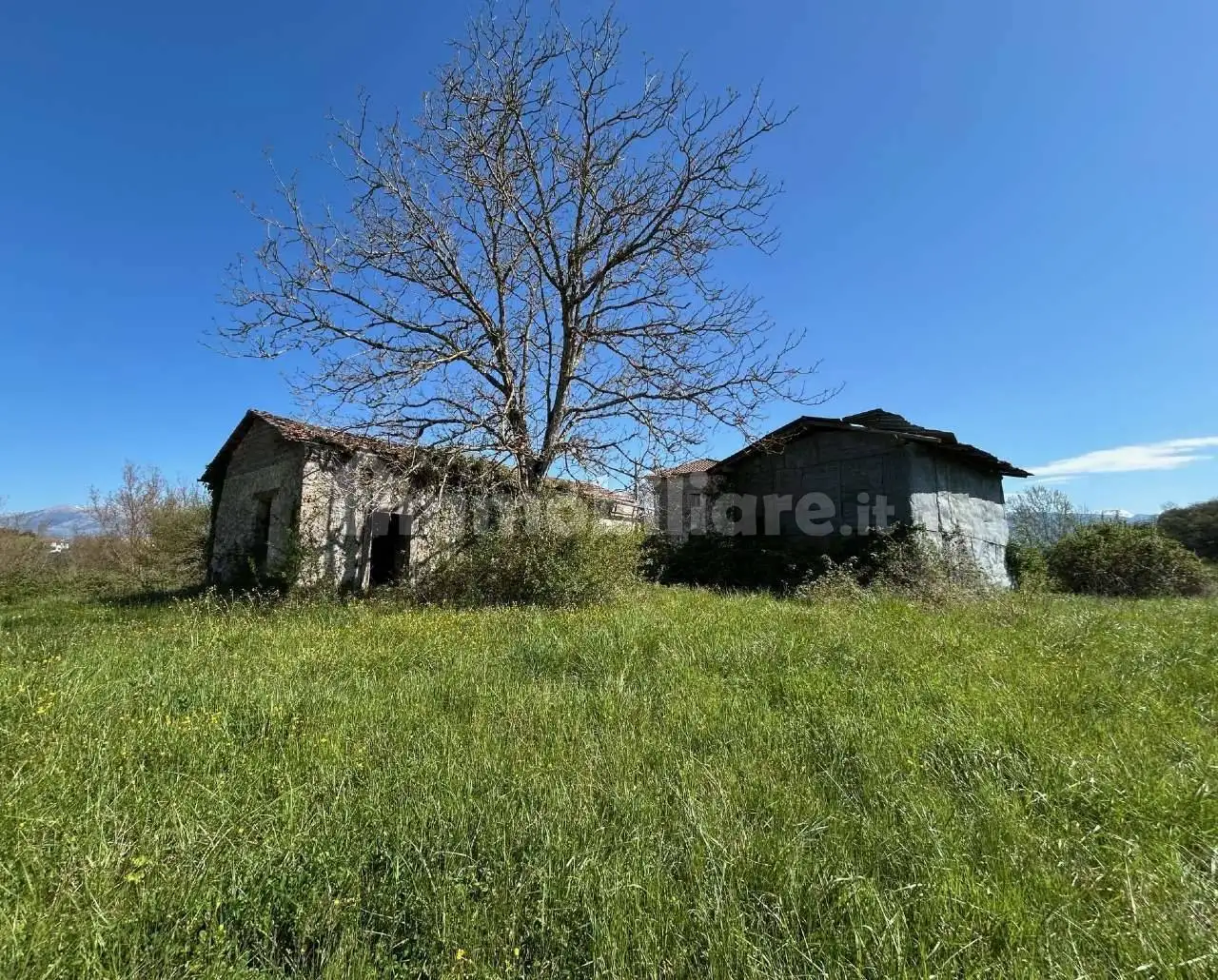 Rustico via SanPietro, Casalvieri - foto 2