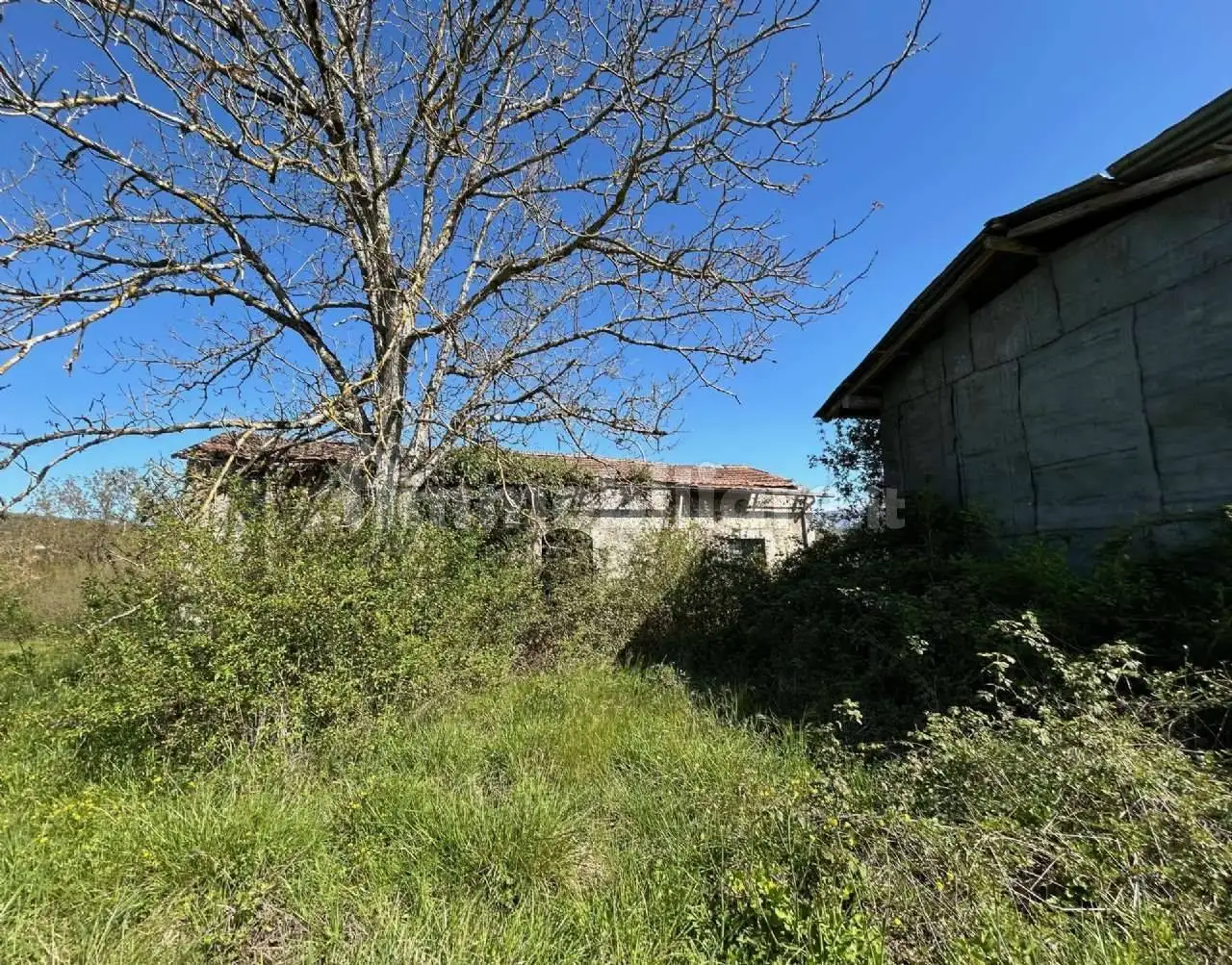 Rustico via SanPietro, Casalvieri - foto 3