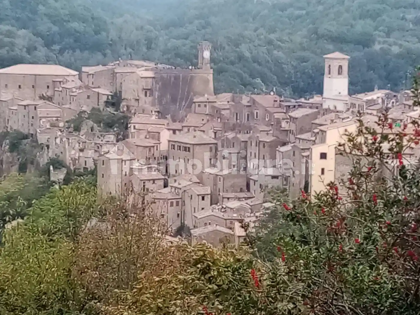 Rustico - Casale in vendita a Sorano
