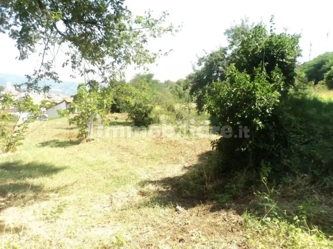 Terratetto unifamiliare via Sorbia, Centro, Chiaravalle Centrale - foto 3