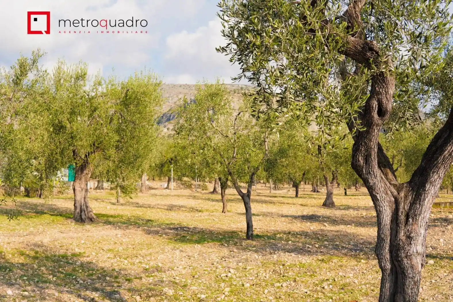Villa unifamiliare macchia pace, Monte Sant'Angelo - foto 2