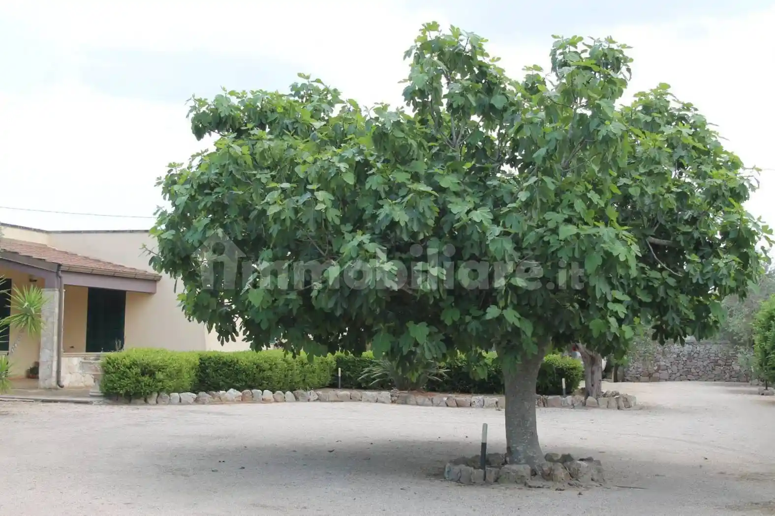 Villa in vendita a Corigliano d'Otranto
