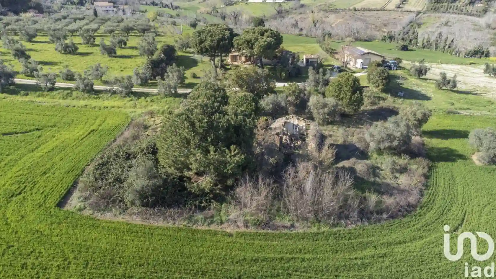 Rustico - Casale - foto 5