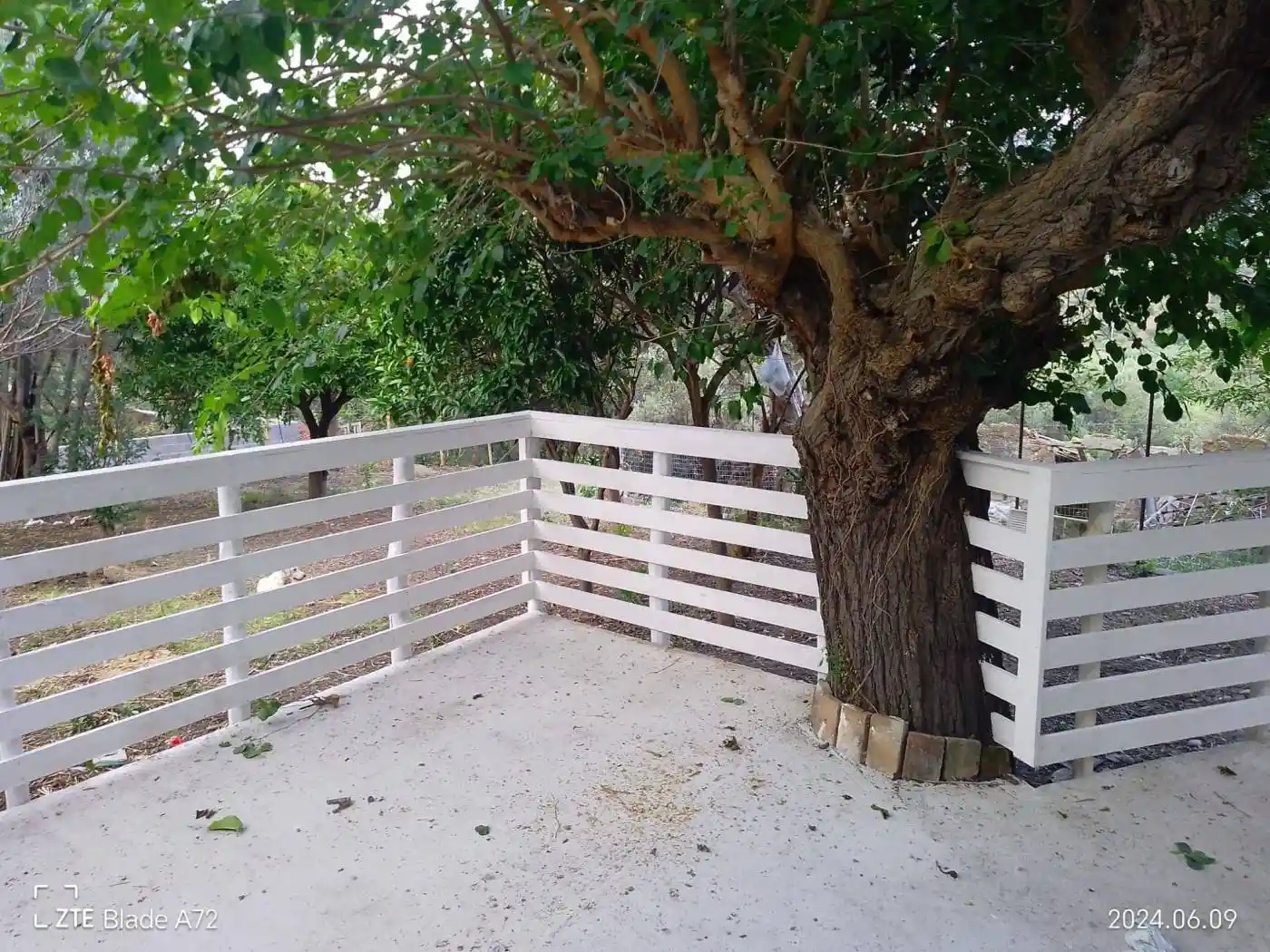 Rustico - Casale in vendita a Sant'Agata di Militello