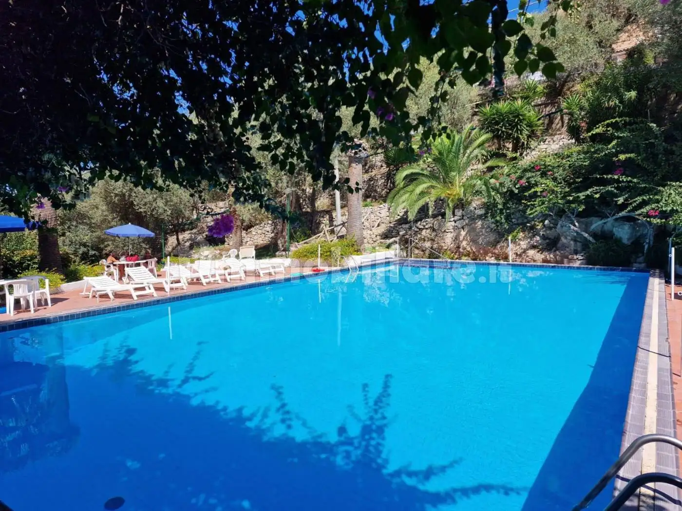 Villa in affitto a Sorrento