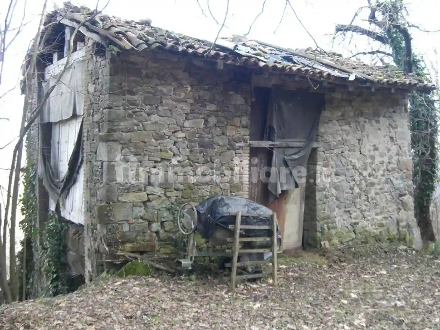 Rustico - Casale - foto 5