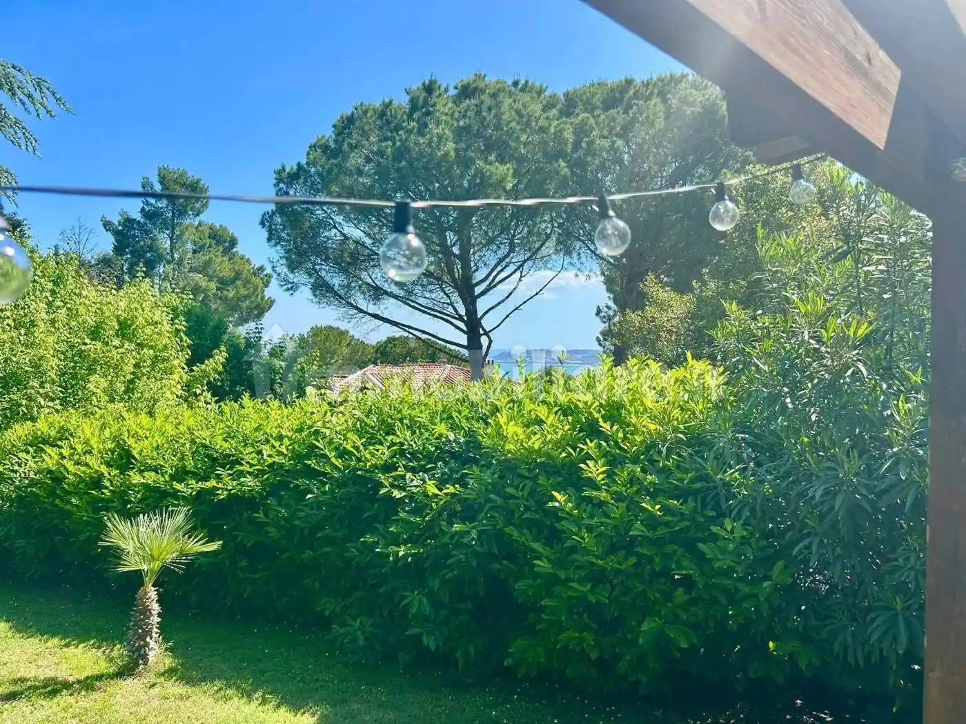 Appartamento buono stato, piano terra, Barcaglione, Ancona - foto 3