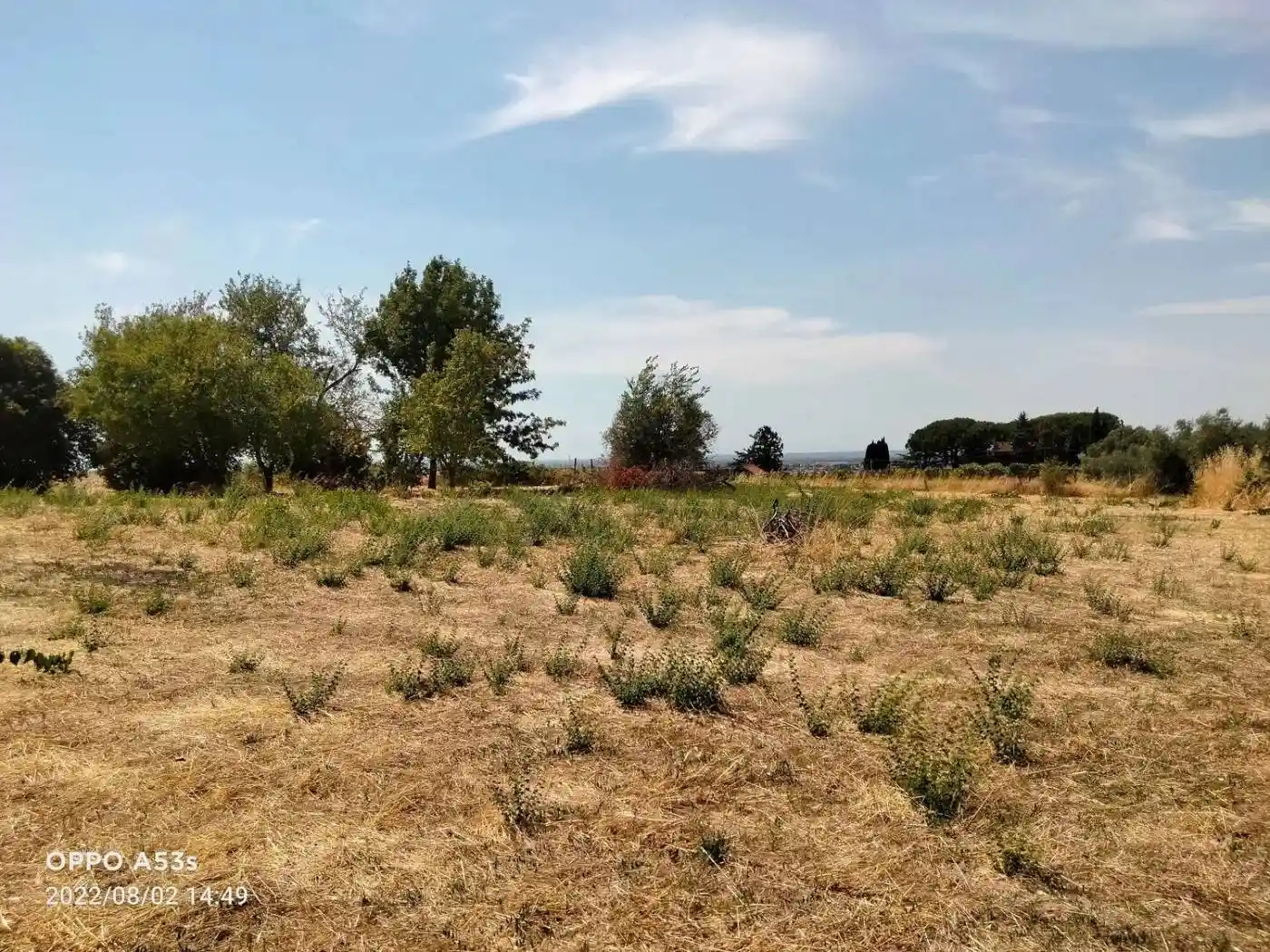 Rustico - Casale in vendita a Ciampino