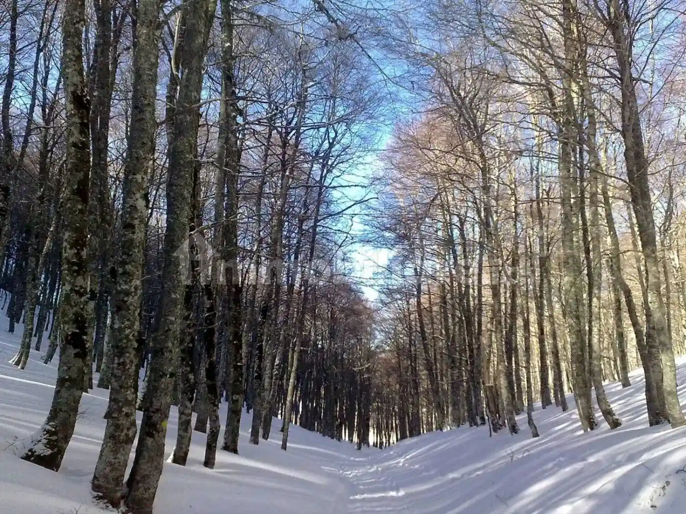 Monolocale via Delle Alci San C., Camporotondo, Cappadocia - foto 4