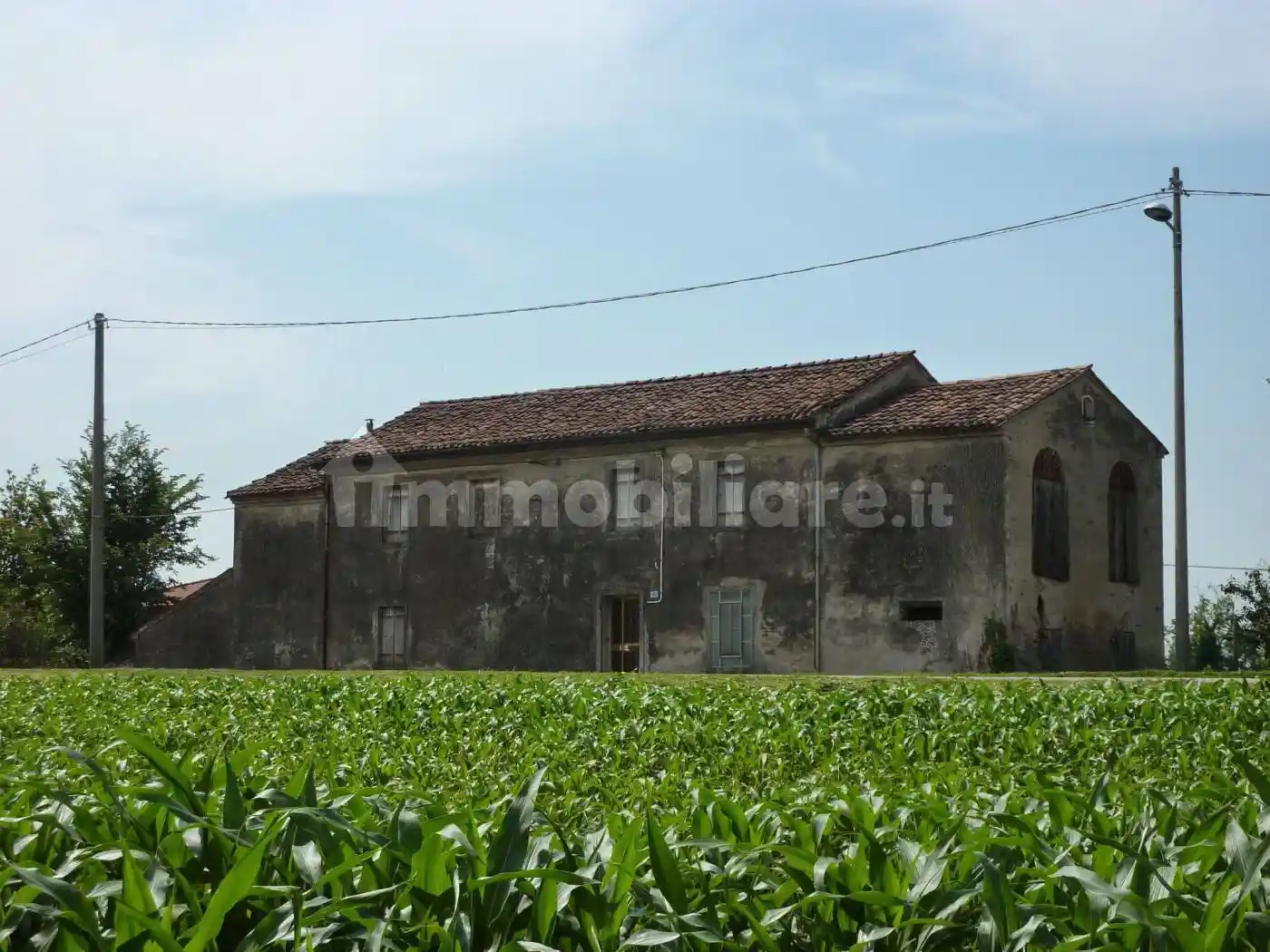 Casa colonica via Umbertiana 402, Centro, Castelguglielmo - foto 5