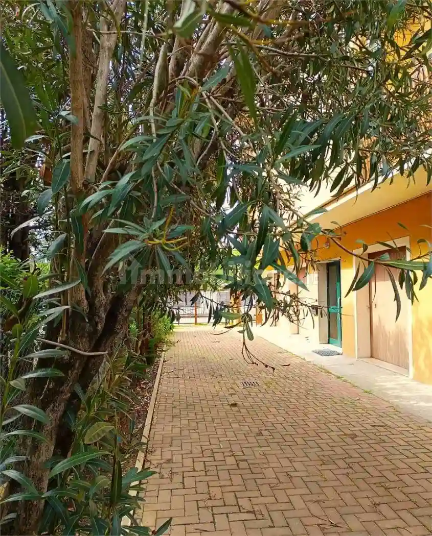 Palazzo - Edificio - foto 2