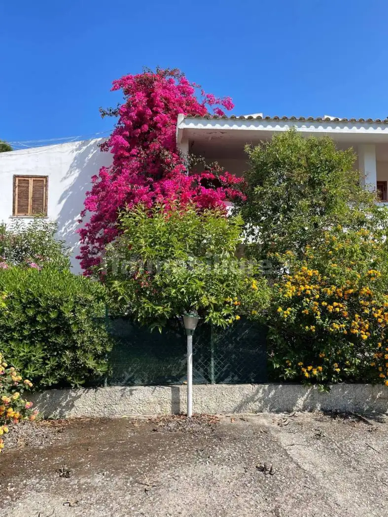 Appartamento in affitto a Sellia Marina