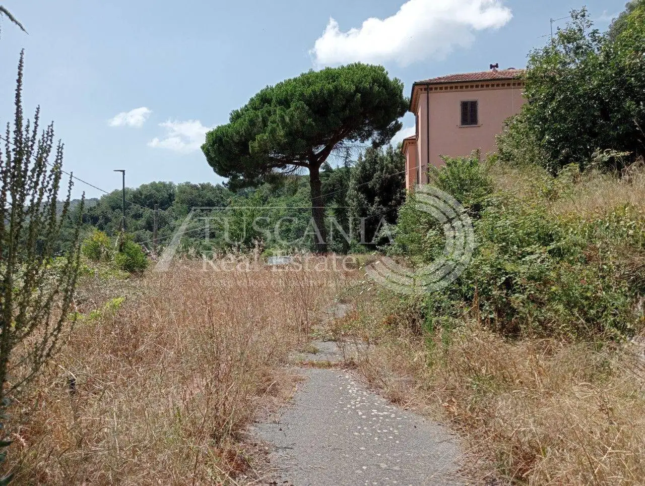 Palazzo - Edificio in vendita a Sassetta