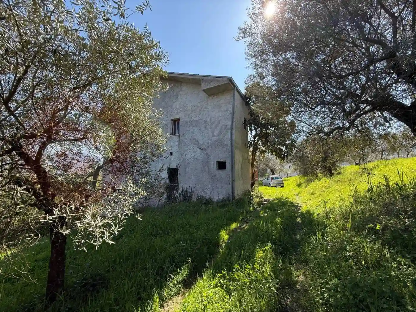 Rustico - Casale - foto 2