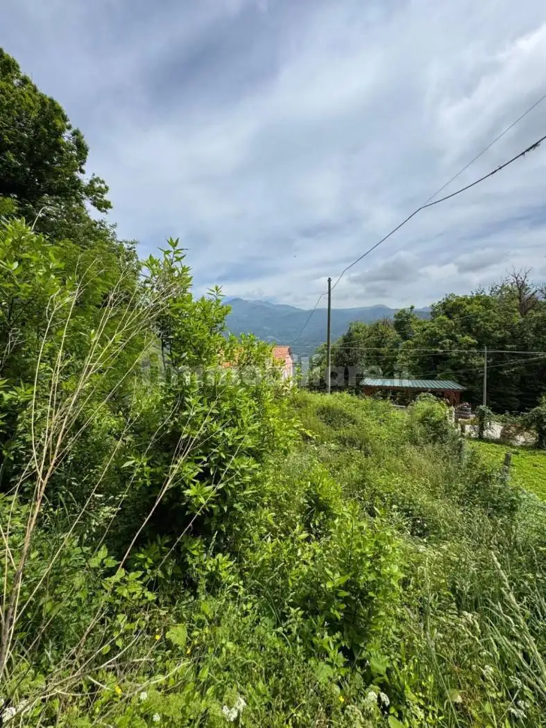 Rustico - Casale in vendita a Ne