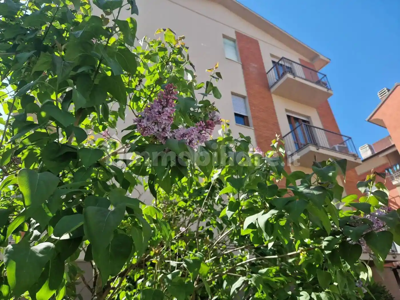 Appartamento in vendita a Alba