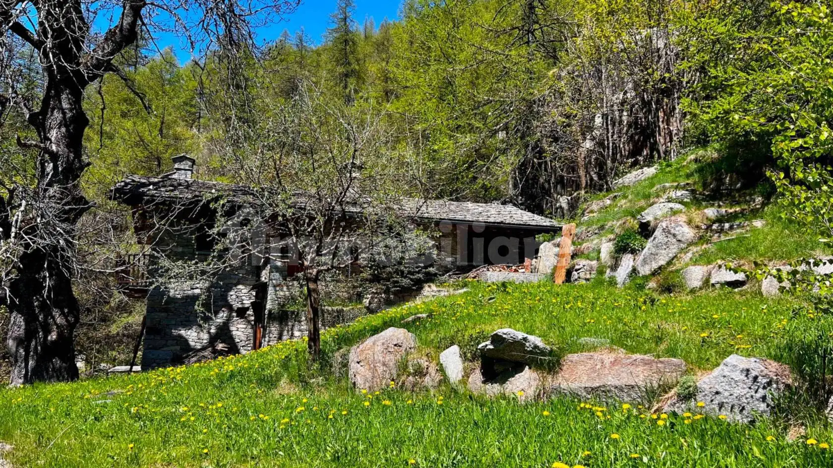Villa unifamiliare Borgata Prese, Ceresole Reale - foto 3