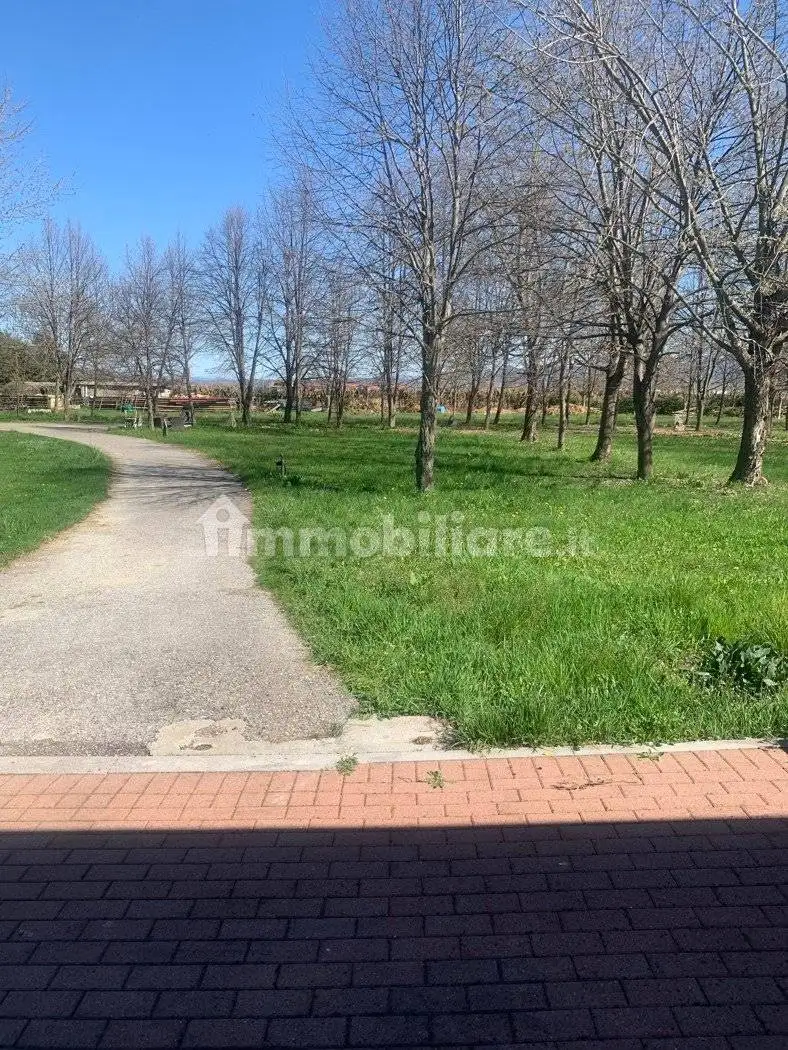 Appartamento in affitto a Cuneo