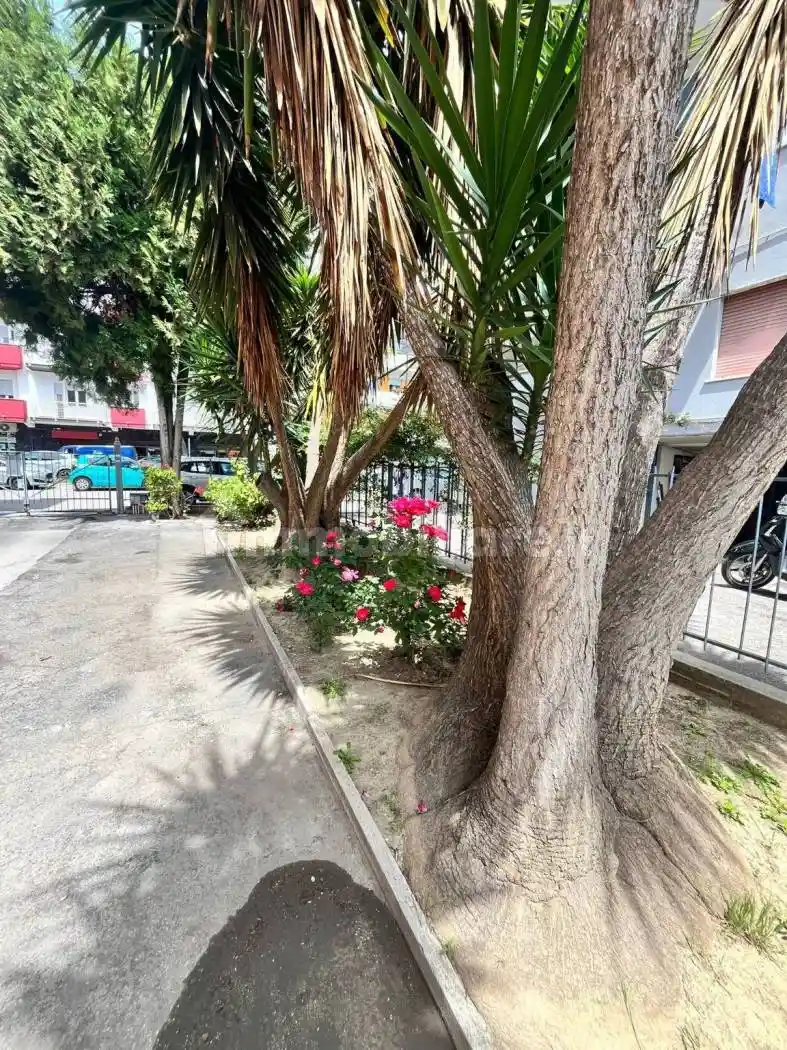 Appartamento ottimo stato, secondo piano, Stadio - Lungomare Colombo, Pescara - foto 4