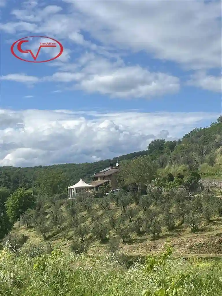 Rustico - Casale - foto 3