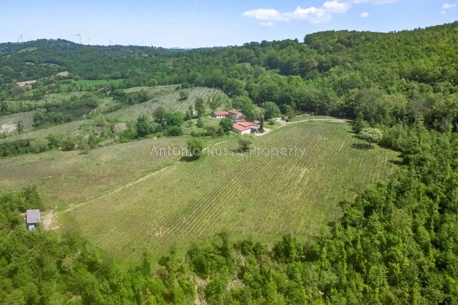 Rustico - Casale in vendita a Scansano