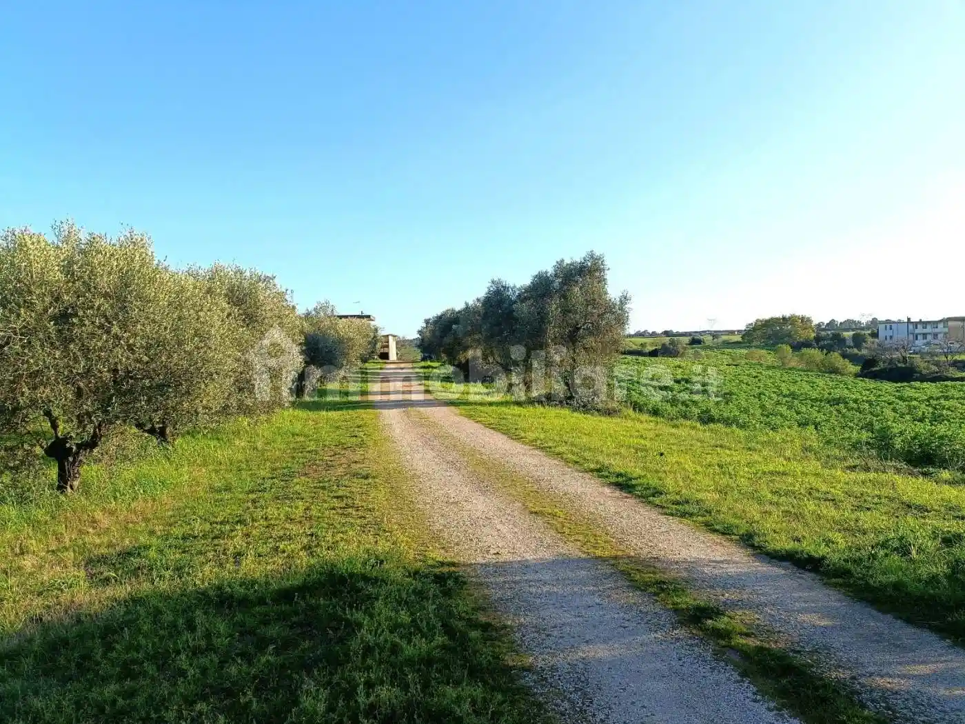 Villa unifamiliare via del Tronco 7, Riserva Nuova - Buon Riposo, Aprilia - foto 2