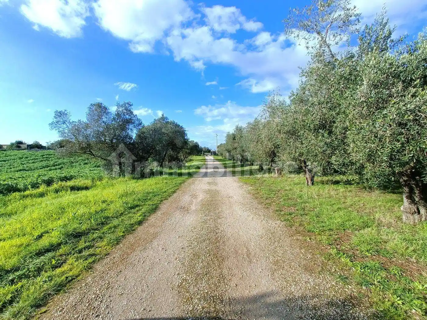 Villa unifamiliare via del Tronco 7, Riserva Nuova - Buon Riposo, Aprilia - foto 3